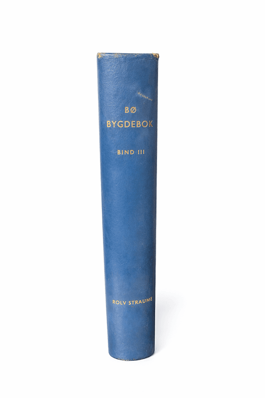 Bø bygdebok III