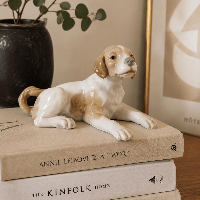LLadro, liten hund