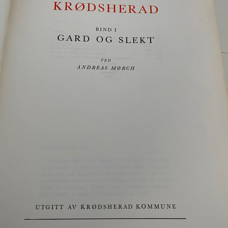 Krødsherad I