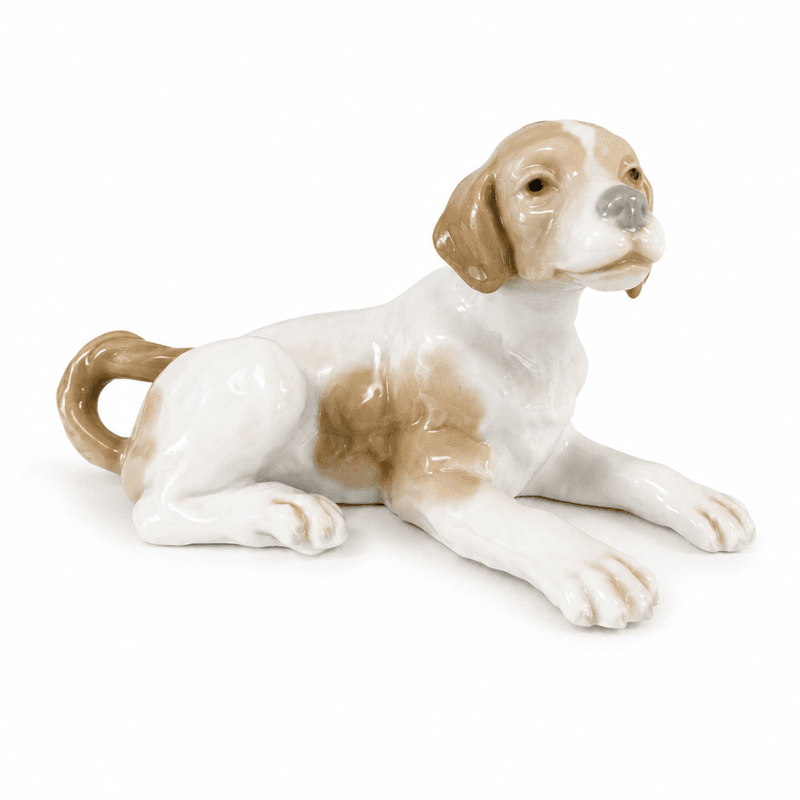 LLadro, liten hund