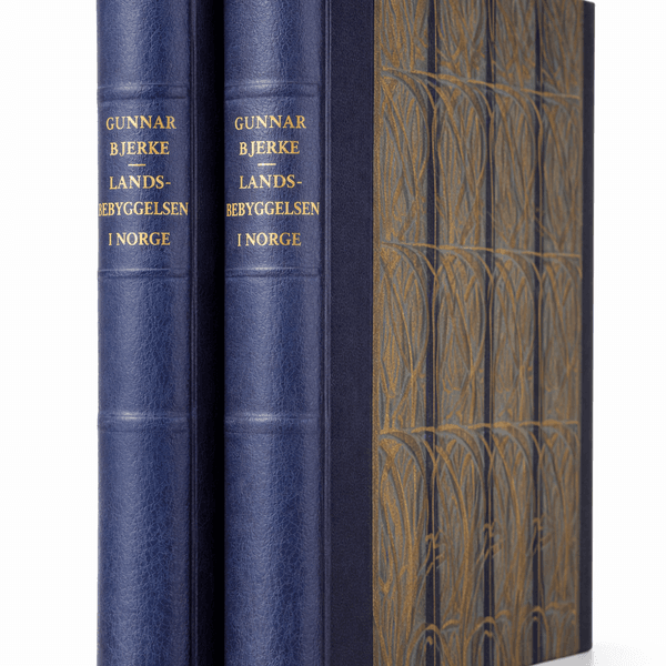 Hovedbilde Landsbebyggelsen i Norge, bind 1 og 2